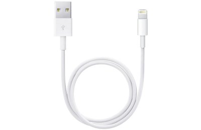 Kabel USB - Lightning APPLE ME291ZM/A 0.5 m